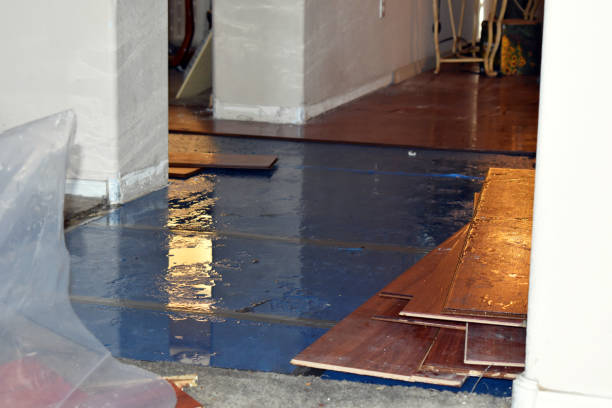 Professional Burst Pipe Cleanup technician working in Lincoln, ME
